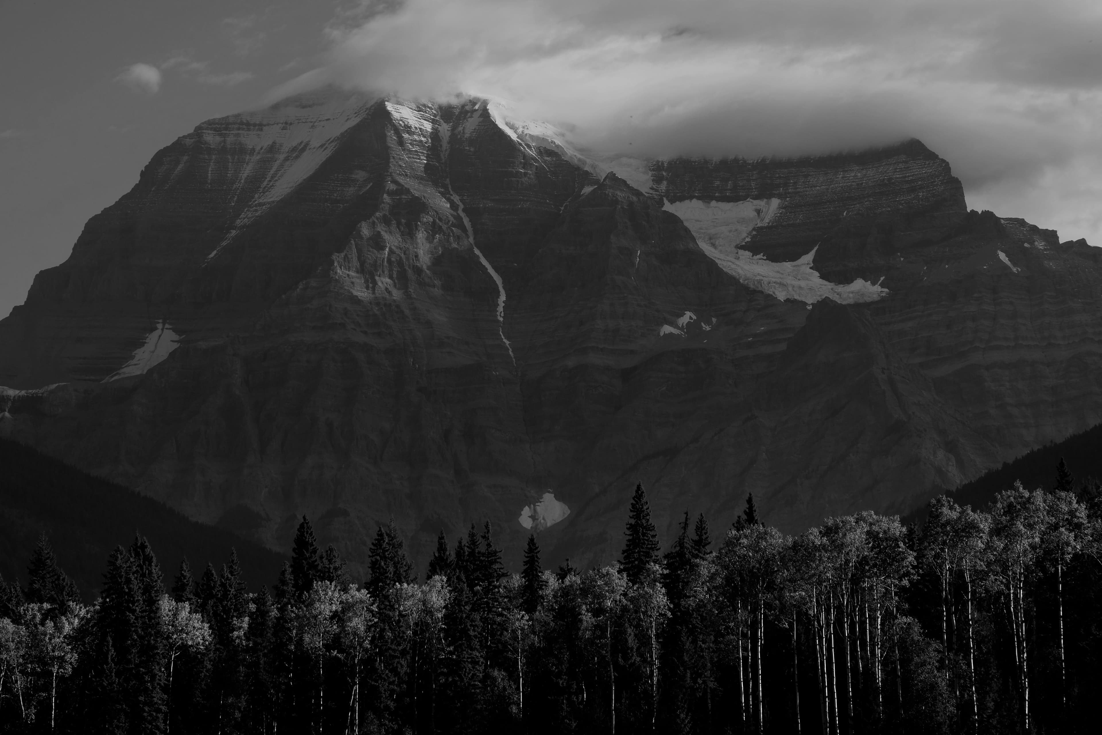 Kanada Express Entry: CRS Puanlama Sistemi Nasıl Çalışır?