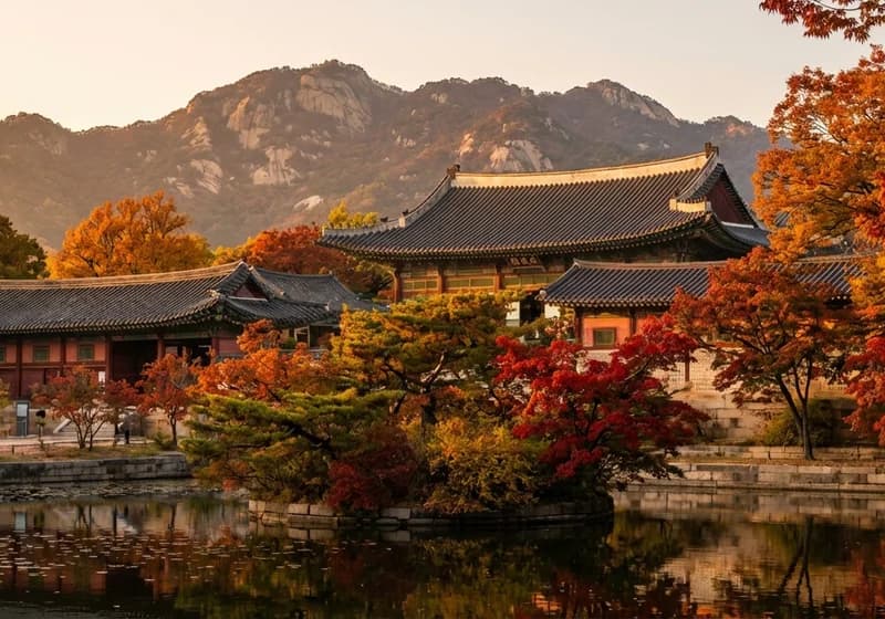 Güney Kore Vizesi Başvuru Hizmeti