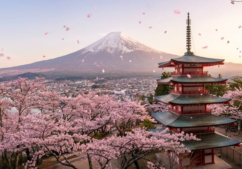 Japonya Vizesi Başvuru Hizmeti